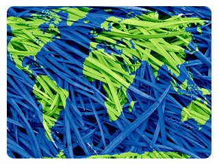 expanded_opportunities